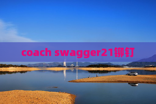 coach swagger21铆钉